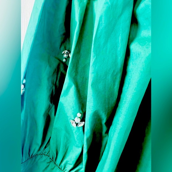 Tuckernuck The Shirt by Rochelle Behrens Green Bara | XXL | Rhinestones | NWT - Picture 6 of 11